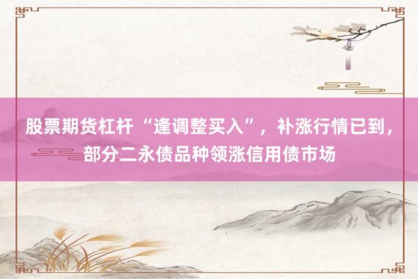 股票期货杠杆 “逢调整买入”，补涨行情已到，部分二永债品种领涨信用债市场