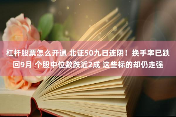 杠杆股票怎么开通 北证50九日连阴！换手率已跌回9月 个股中位数跌近2成 这些标的却仍走强