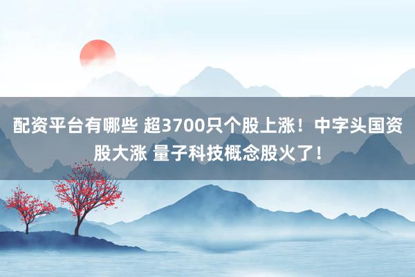 配资平台有哪些 超3700只个股上涨！中字头国资股大涨 量子科技概念股火了！