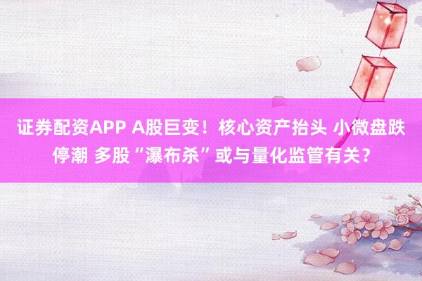 证券配资APP A股巨变！核心资产抬头 小微盘跌停潮 多股“瀑布杀”或与量化监管有关？