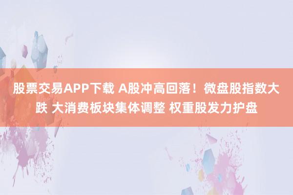 股票交易APP下载 A股冲高回落！微盘股指数大跌 大消费板块集体调整 权重股发力护盘