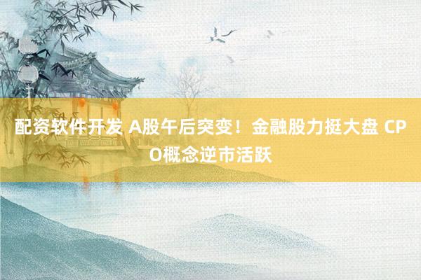 配资软件开发 A股午后突变！金融股力挺大盘 CPO概念逆市活跃