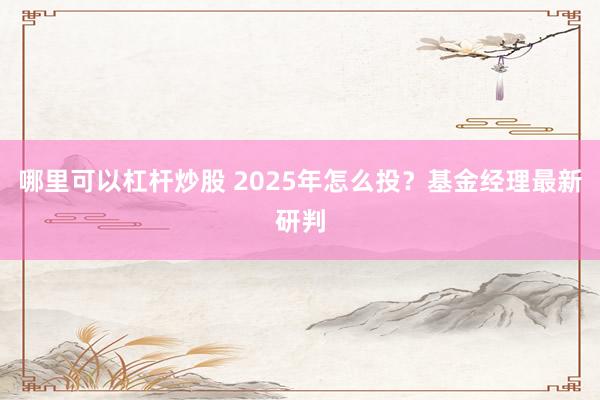 哪里可以杠杆炒股 2025年怎么投？基金经理最新研判