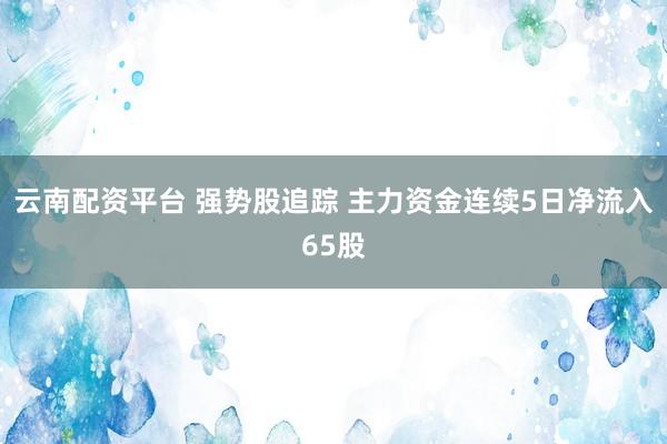 云南配资平台 强势股追踪 主力资金连续5日净流入65股