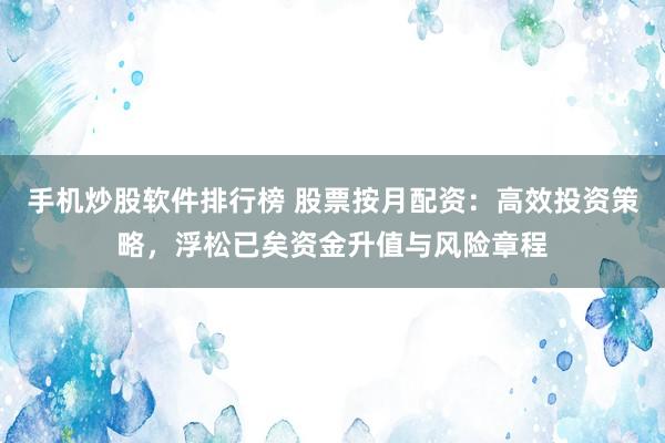 手机炒股软件排行榜 股票按月配资：高效投资策略，浮松已矣资金升值与风险章程