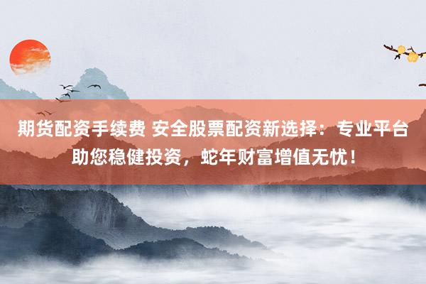 期货配资手续费 安全股票配资新选择：专业平台助您稳健投资，蛇年财富增值无忧！