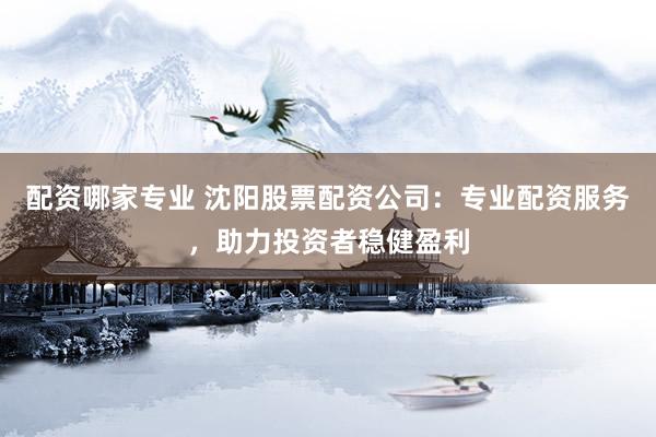 配资哪家专业 沈阳股票配资公司：专业配资服务，助力投资者稳健盈利