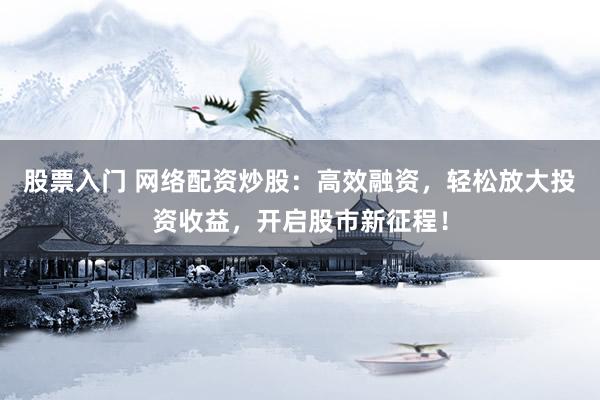 股票入门 网络配资炒股：高效融资，轻松放大投资收益，开启股市新征程！