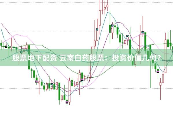 股票地下配资 云南白药股票：投资价值几何？