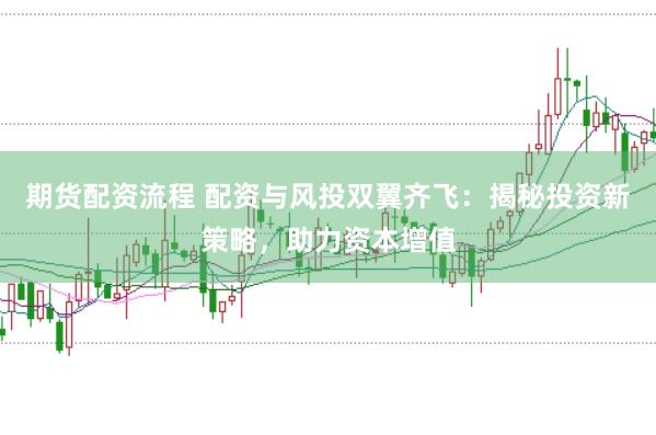 期货配资流程 配资与风投双翼齐飞：揭秘投资新策略，助力资本增值