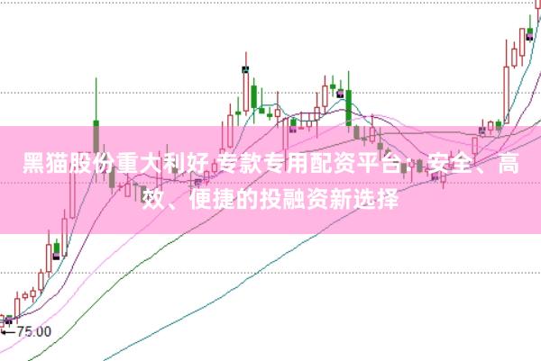 黑猫股份重大利好 专款专用配资平台：安全、高效、便捷的投融资新选择