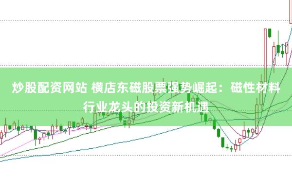 炒股配资网站 横店东磁股票强势崛起：磁性材料行业龙头的投资新机遇