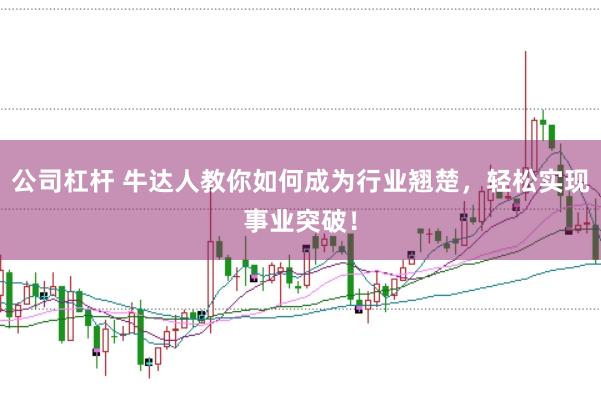 公司杠杆 牛达人教你如何成为行业翘楚，轻松实现事业突破！