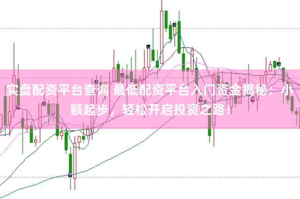 实盘配资平台查询 最低配资平台入门资金揭秘：小额起步，轻松开启投资之路！