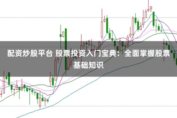配资炒股平台 股票投资入门宝典：全面掌握股票基础知识
