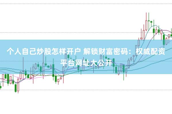 个人自己炒股怎样开户 解锁财富密码：权威配资平台网址大公开