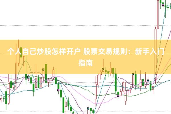 个人自己炒股怎样开户 股票交易规则：新手入门指南
