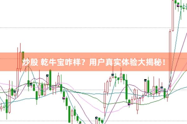 炒股 乾牛宝咋样？用户真实体验大揭秘！