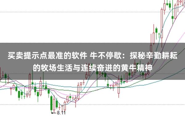 买卖提示点最准的软件 牛不停歇：探秘辛勤耕耘的牧场生活与连续奋进的黄牛精神