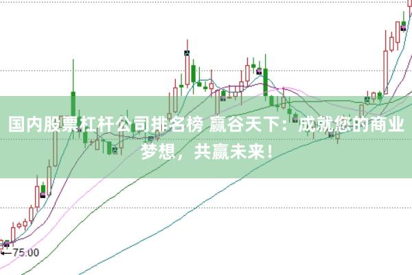 国内股票杠杆公司排名榜 赢谷天下：成就您的商业梦想，共赢未来！