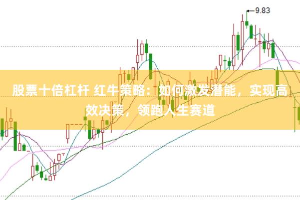 股票十倍杠杆 红牛策略：如何激发潜能，实现高效决策，领跑人生赛道
