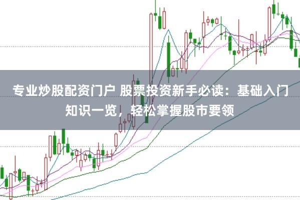 专业炒股配资门户 股票投资新手必读：基础入门知识一览，轻松掌握股市要领
