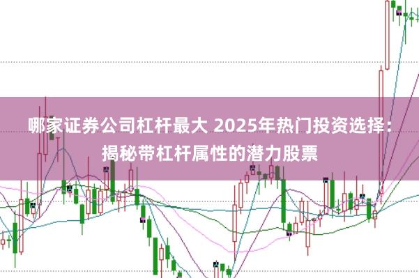 哪家证券公司杠杆最大 2025年热门投资选择：揭秘带杠杆属性的潜力股票
