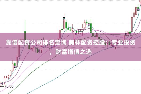 靠谱配资公司排名查询 美林配资控股：专业投资，财富增值之选