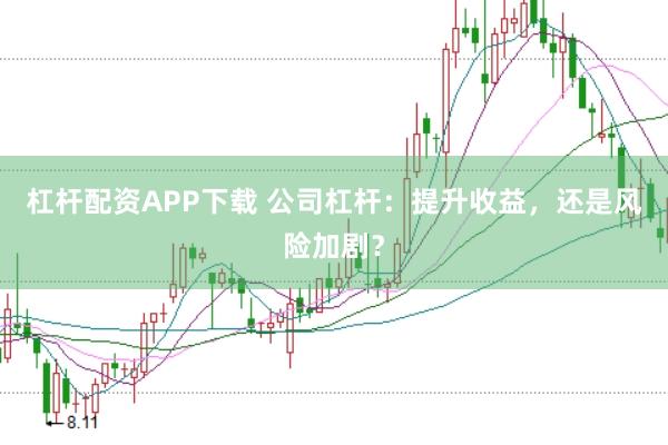 杠杆配资APP下载 公司杠杆：提升收益，还是风险加剧？
