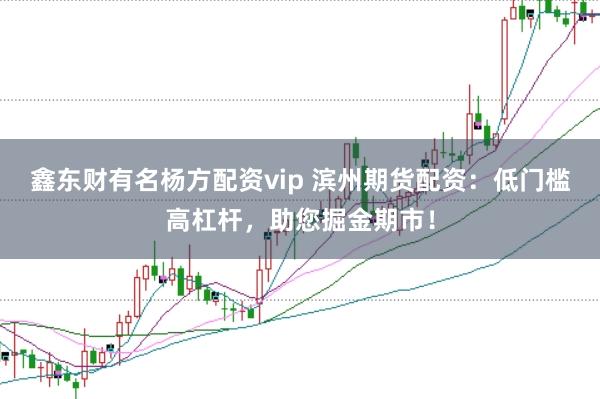 鑫东财有名杨方配资vip 滨州期货配资：低门槛高杠杆，助您掘金期市！
