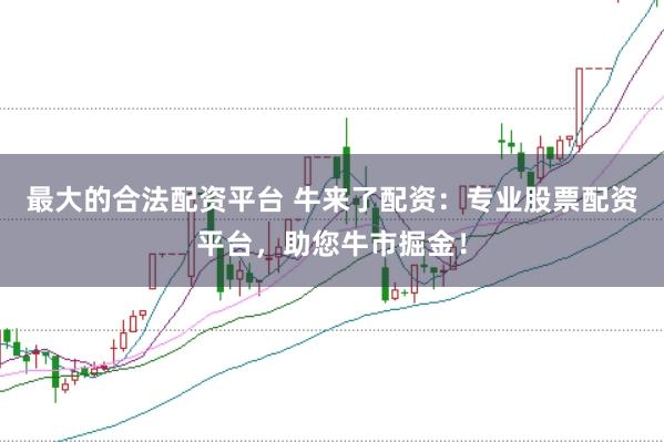 最大的合法配资平台 牛来了配资：专业股票配资平台，助您牛市掘金！