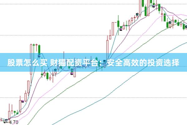 股票怎么买 财猫配资平台：安全高效的投资选择
