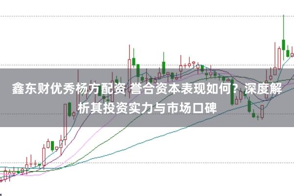 鑫东财优秀杨方配资 誉合资本表现如何？深度解析其投资实力与市场口碑