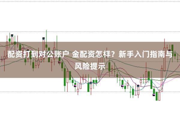 配资打到对公账户 金配资怎样？新手入门指南与风险提示