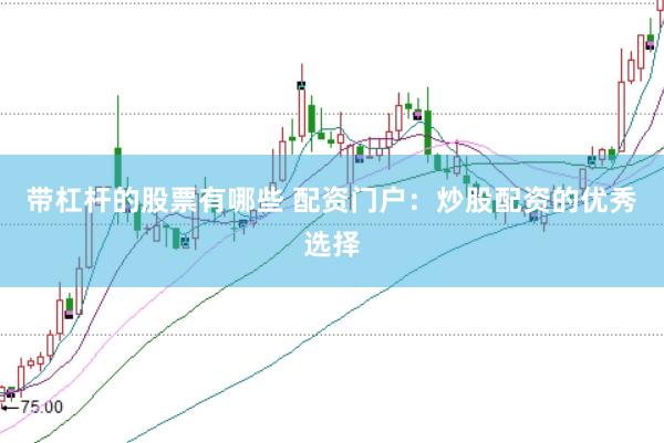 带杠杆的股票有哪些 配资门户：炒股配资的优秀选择