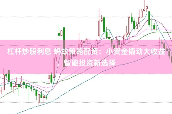 杠杆炒股利息 蚂蚁策略配资：小资金撬动大收益，智能投资新选择