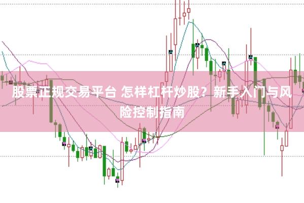股票正规交易平台 怎样杠杆炒股？新手入门与风险控制指南