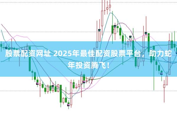 股票配资网址 2025年最佳配资股票平台，助力蛇年投资腾飞！