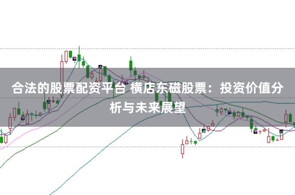合法的股票配资平台 横店东磁股票:投资价值分析与未来展望