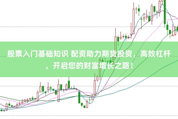 股票入门基础知识 配资助力期货投资,高效杠杆,开启您的财富增长之路!