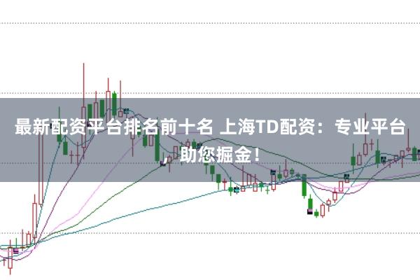 最新配资平台排名前十名 上海TD配资:专业平台,助您掘金!