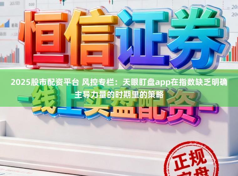 2025股市配资平台 风控专栏：天眼盯盘app在指数缺乏明确主导力量的时期里的策略