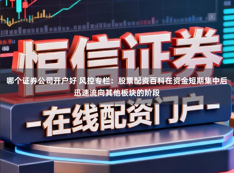 哪个证券公司开户好 风控专栏：股票配资百科在资金短期集中后迅速流向其他板块的阶段