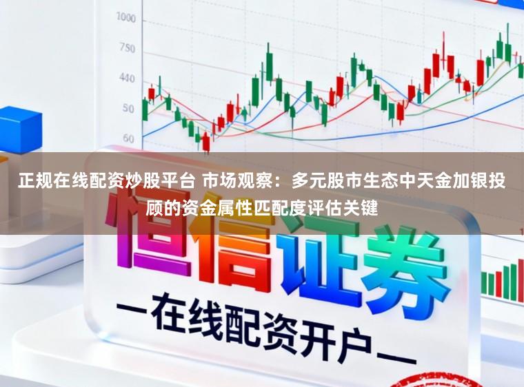 正规在线配资炒股平台 市场观察：多元股市生态中天金加银投顾的资金属性匹配度评估关键