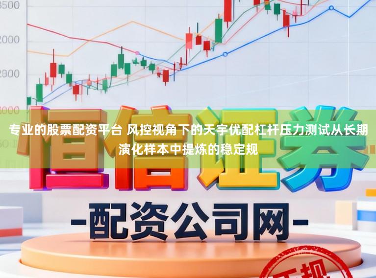 专业的股票配资平台 风控视角下的天宇优配杠杆压力测试从长期演化样本中提炼的稳定规