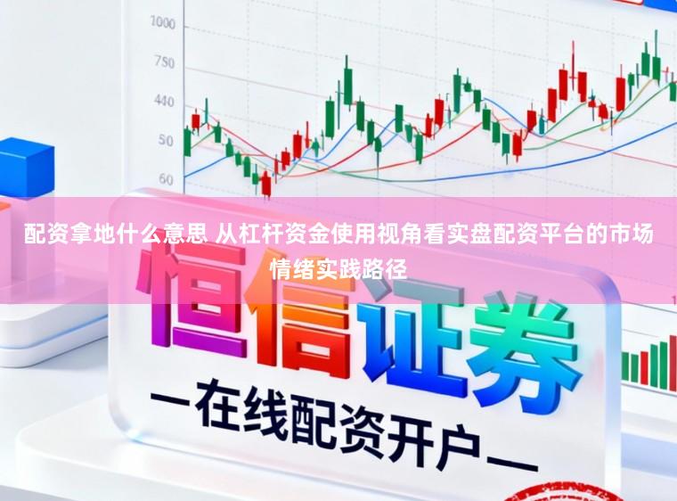 配资拿地什么意思 从杠杆资金使用视角看实盘配资平台的市场情绪实践路径